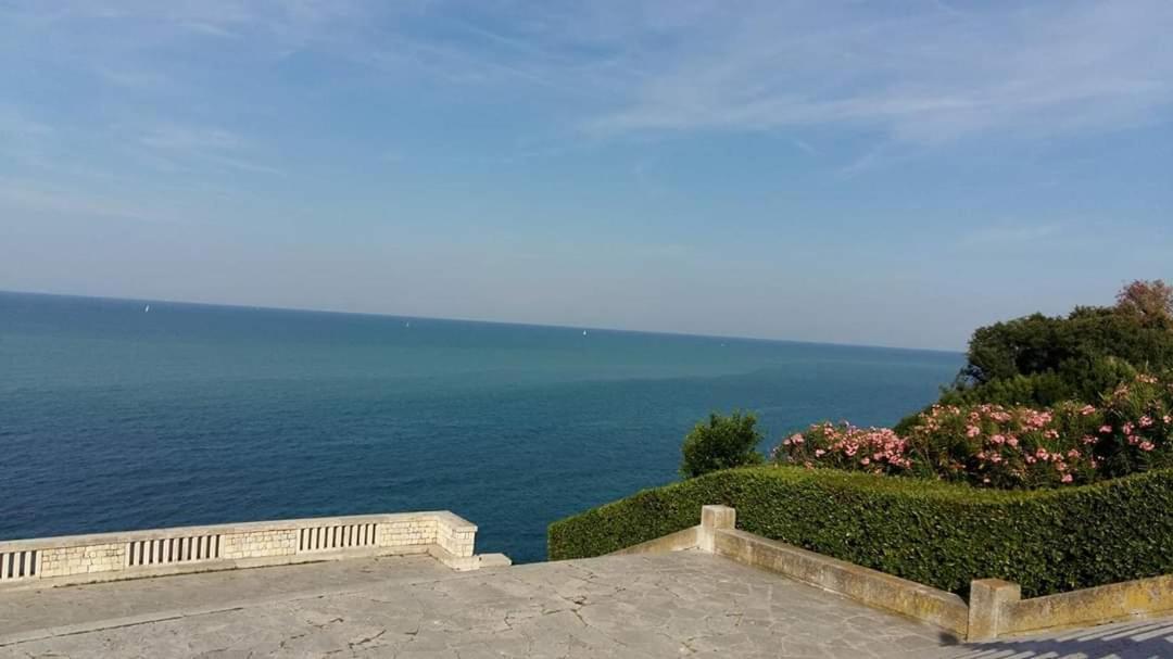 Casa Viorica Hotel Ancona Bagian luar foto